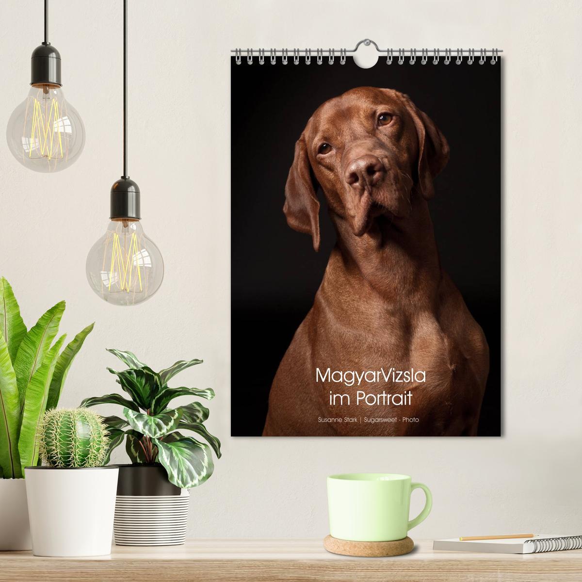 Bild: 9783457016176 | Magyar Vizsla im Portrait (Wandkalender 2025 DIN A4 hoch), CALVENDO...