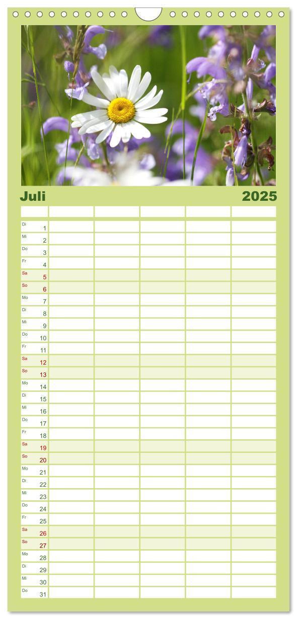 Bild: 9783457100844 | Familienplaner 2025 - Sanfte Natur mit 5 Spalten (Wandkalender, 21...