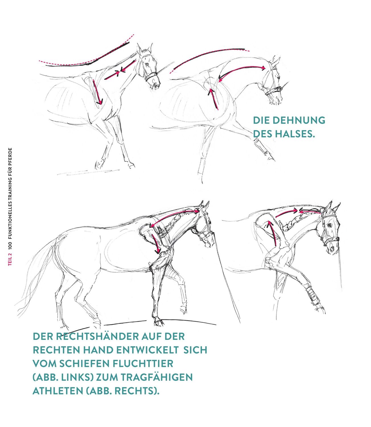 Bild: 9783275023066 | Die Kraft der Diagonalen | Gabriele Rachen-Schöneich (u. a.) | Buch