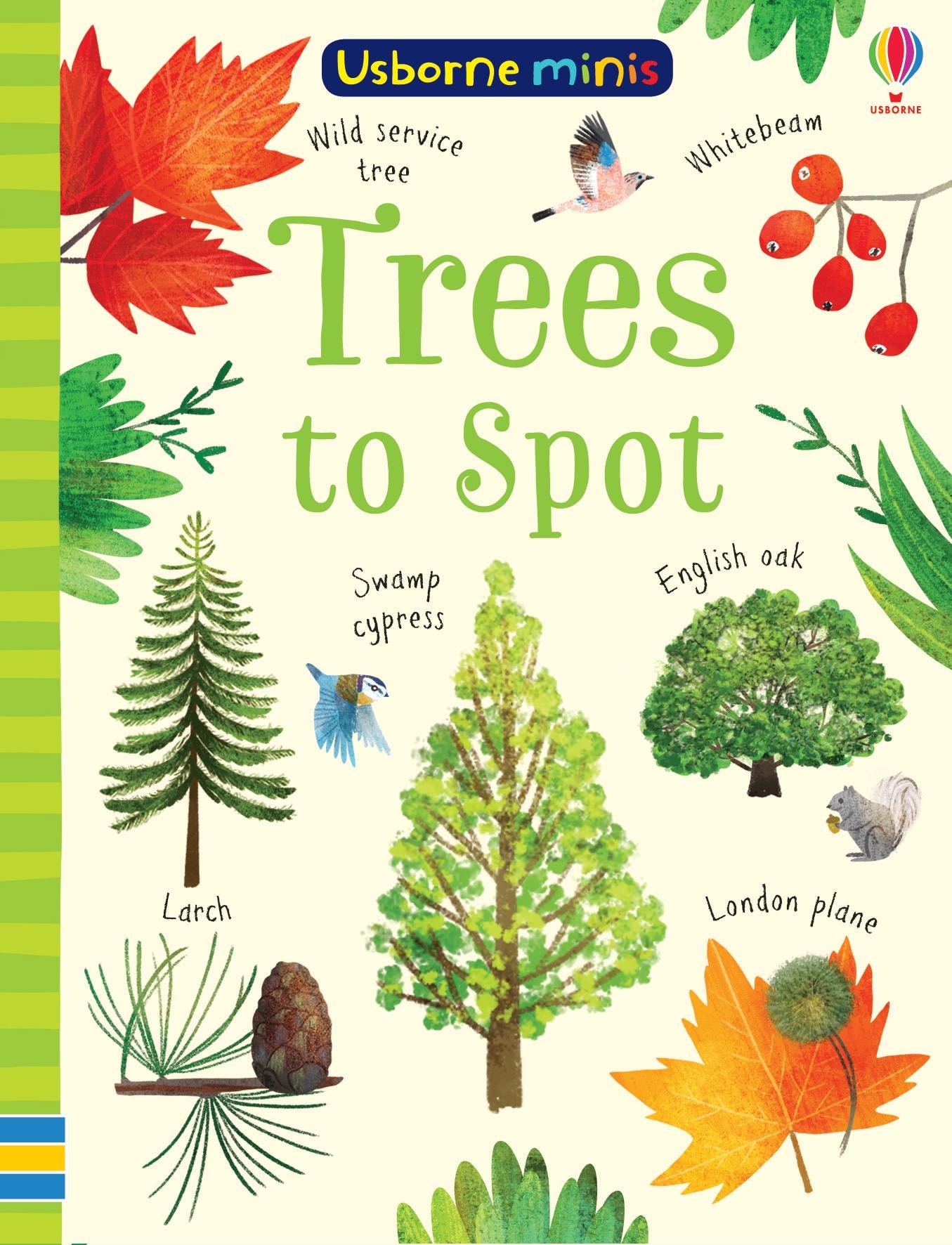 Cover: 9781474952187 | Trees to Spot | Kirsteen Robson (u. a.) | Taschenbuch | Englisch