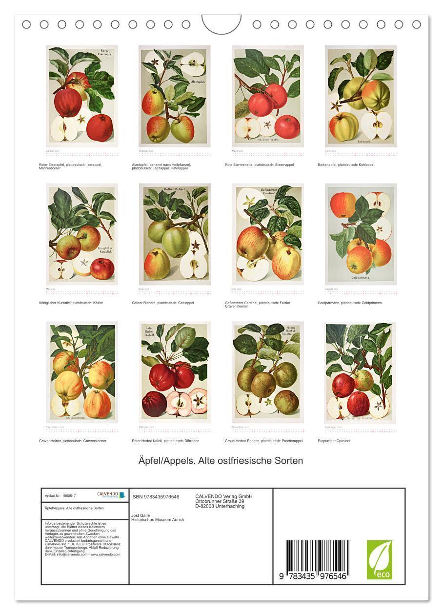 Bild: 9783435976546 | Äpfel/Appels. Alte ostfriesische Sorten (Wandkalender 2025 DIN A4...