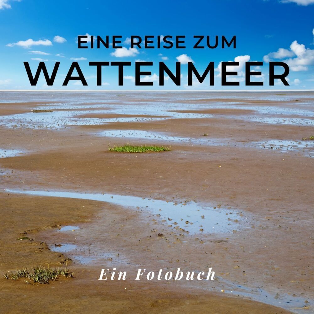 Cover: 9783750515673 | Das Wattenmeer | Tania Sardí | Taschenbuch | 42 S. | Deutsch | 2022