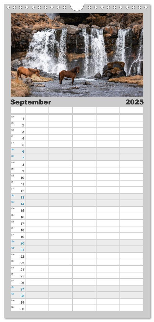 Bild: 9783457101568 | Familienplaner 2025 - Islandpferde Kalender - Pferde von der Insel...