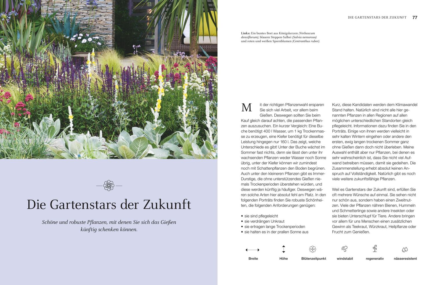 Bild: 9783967470017 | Robuste Schönheiten für den Garten | Ina Timm | Buch | 160 S. | 2020