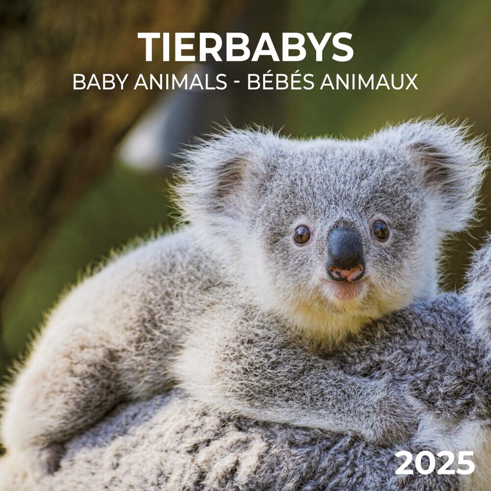 Cover: 9783959294782 | Tierbabys 2025 | Kalender 2025 | Kalender | Drahtheftung | 28 S.