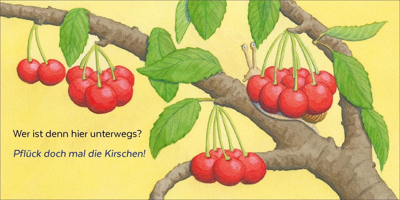 Bild: 9783943833706 | Wer hat sich denn hier versteckt? | Heidemarie Brosche | Buch | 26 S.