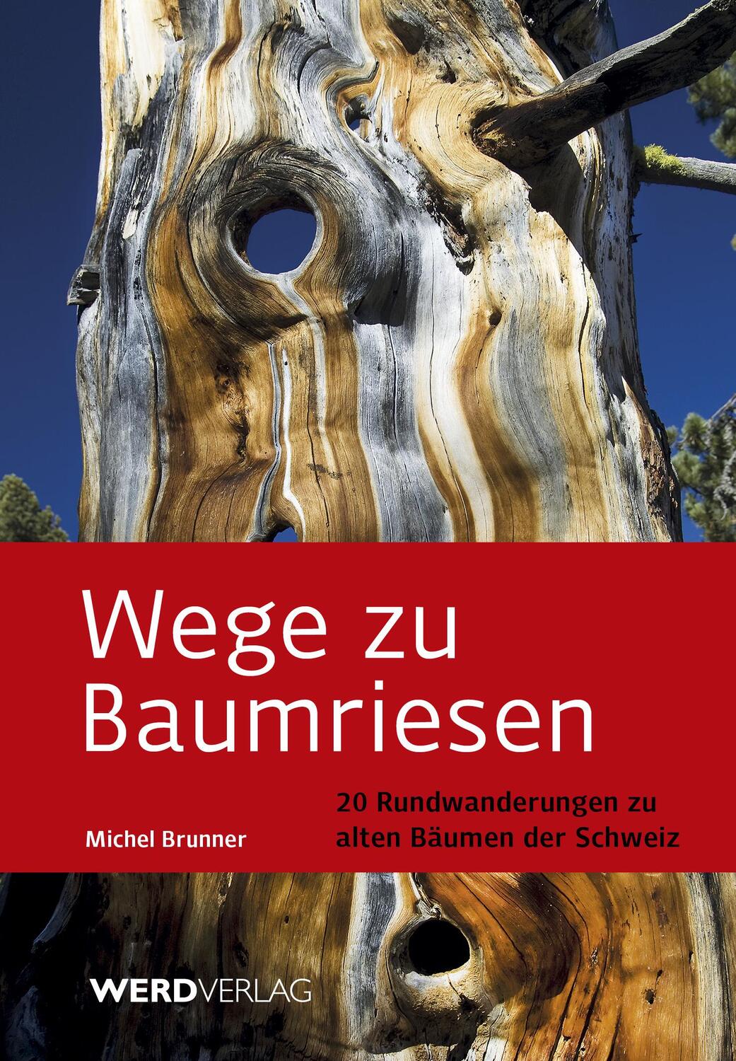 Cover: 9783859326545 | Wege zu Baumriesen | 20 Rundwanderungen zu alten Bäumen der Schweiz