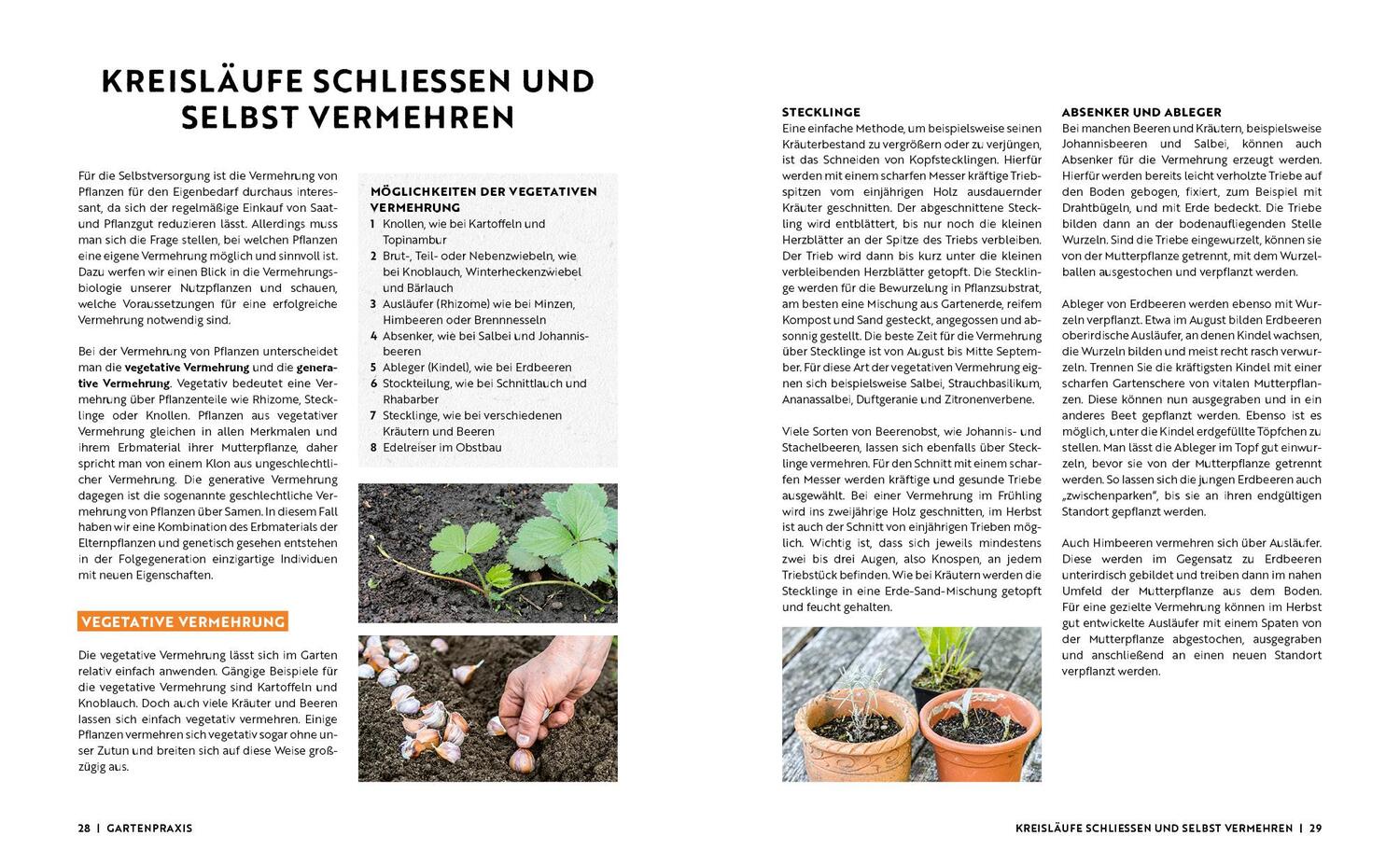 Bild: 9783745914573 | Gartenmomente: Einfach selbstversorgt | Annette Holländer | Buch