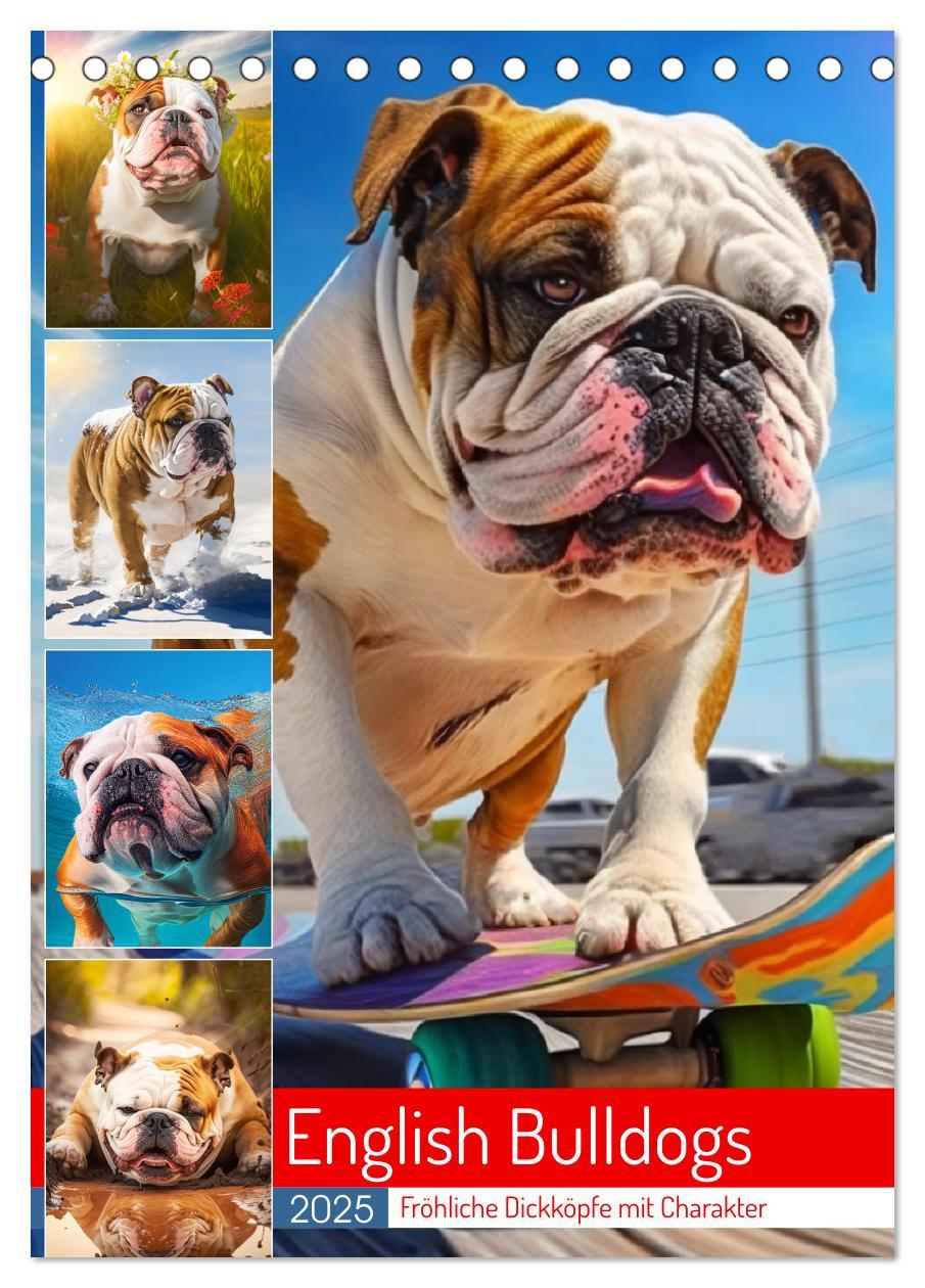 Cover: 9783435876600 | English Bulldogs. Fröhliche Dickköpfe mit Charakter (Tischkalender...