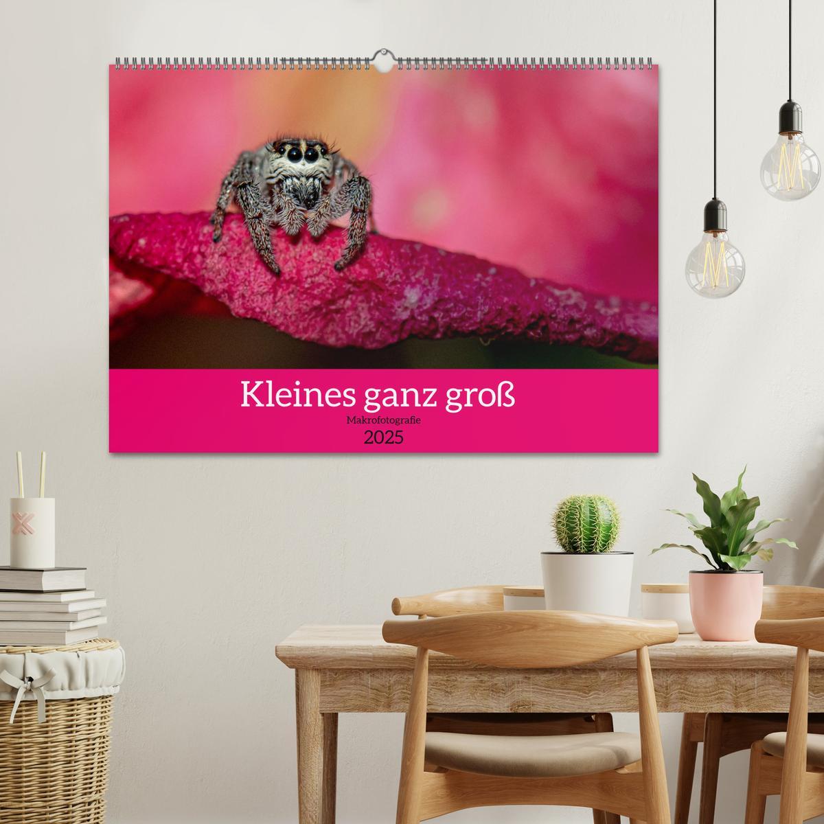 Bild: 9783435025817 | Kleines ganz groß - Makrofotografie (Wandkalender 2025 DIN A2...