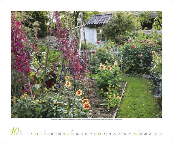 Bild: 9783731875925 | Gartenträume 2025 | Korsch Verlag | Kalender | Spiralbindung | 14 S.