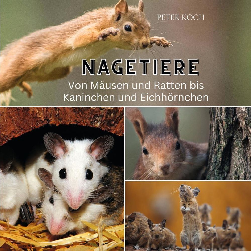 Cover: 9783750563803 | Nagetiere | Von Mäusen und Ratten bis Kaninchen und Eichhörnchen