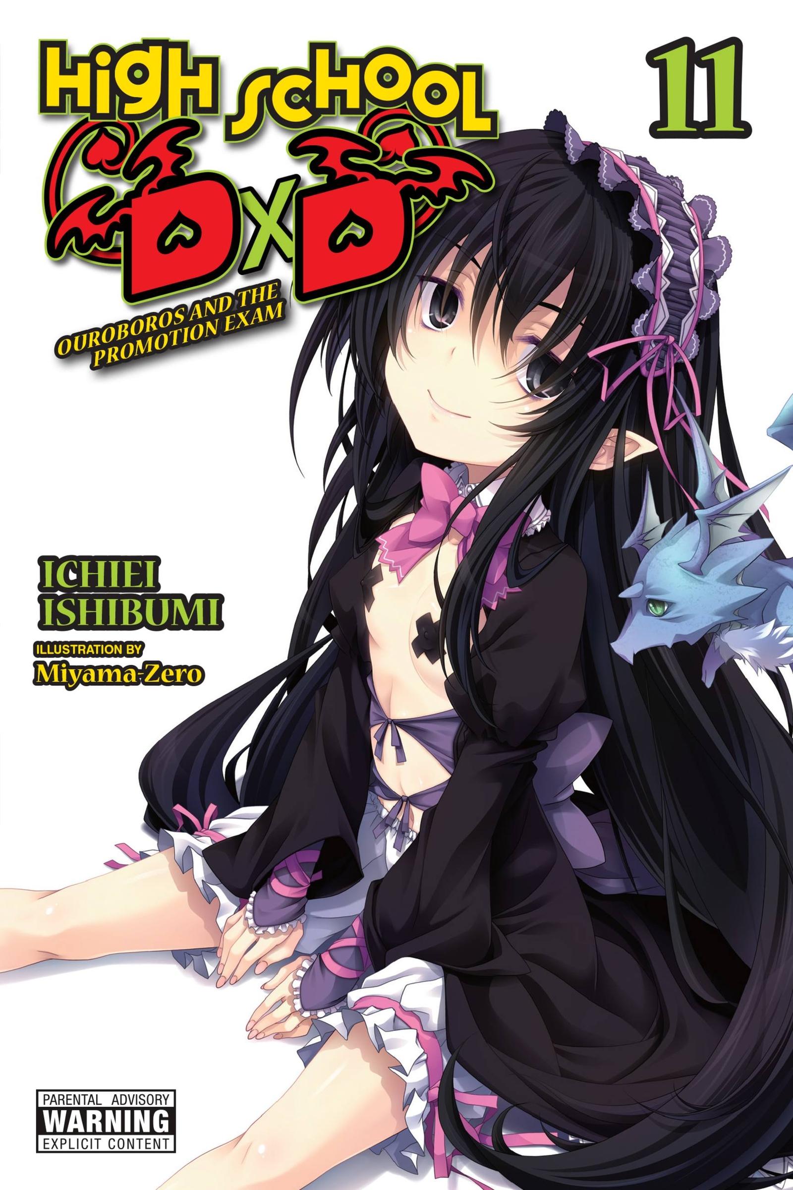 Cover: 9781975348168 | High School DXD, Vol. 11 (Light Novel) | Volume 11 | Ichiei Ishibumi