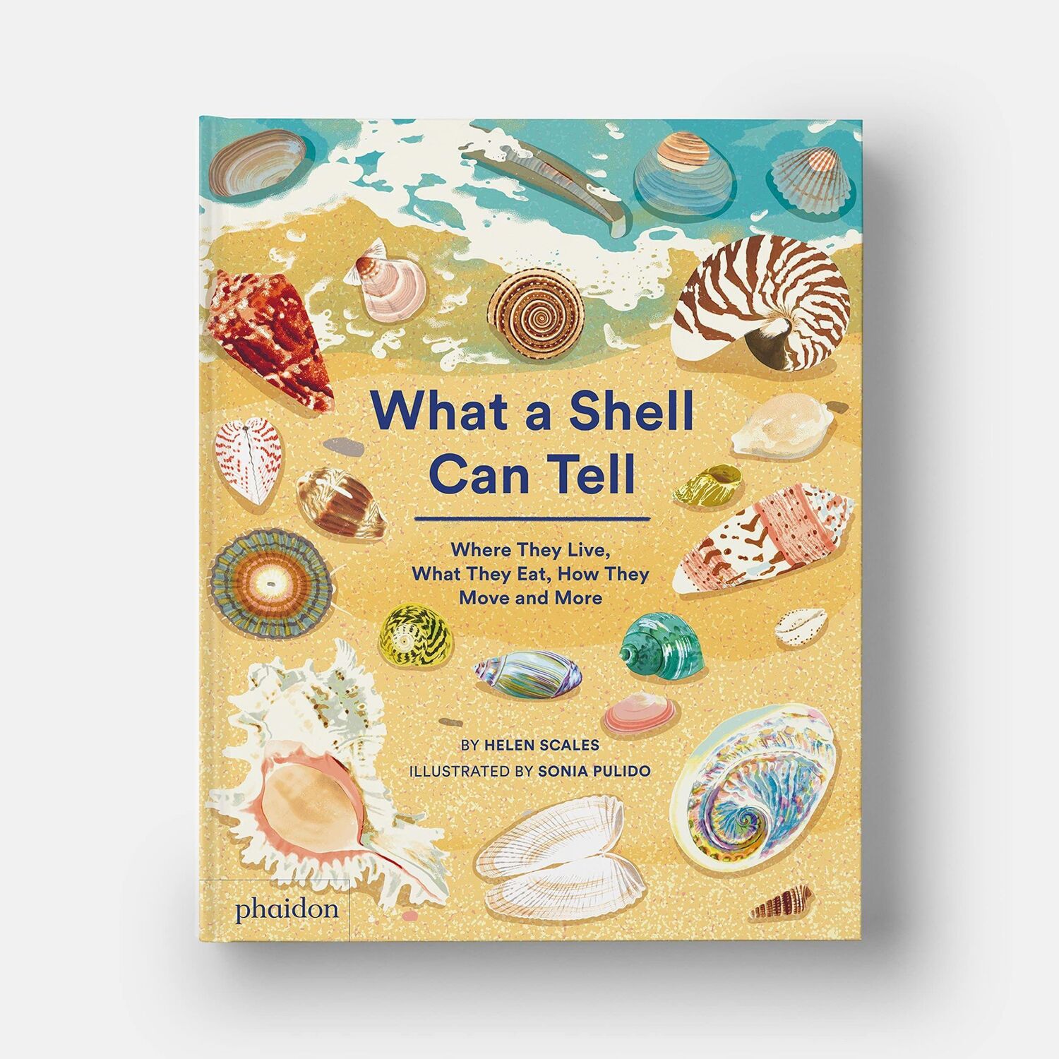 Bild: 9781838664305 | What A Shell Can Tell | Helen Scales (u. a.) | Buch | 48 S. | Englisch