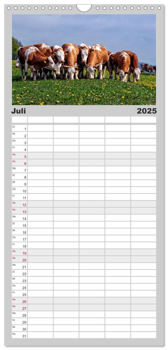 Bild: 9783457104378 | Familienplaner 2025 - Kuh und Co. mit 5 Spalten (Wandkalender, 21 x...