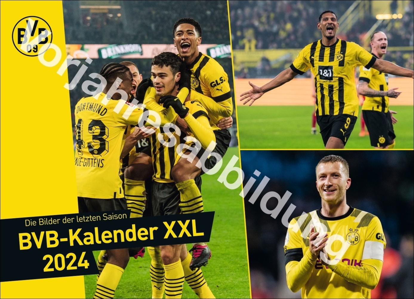 Cover: 9783756404735 | BVB Edition Kalender 2025 | Kalender | Spiralbindung | 14 S. | Deutsch