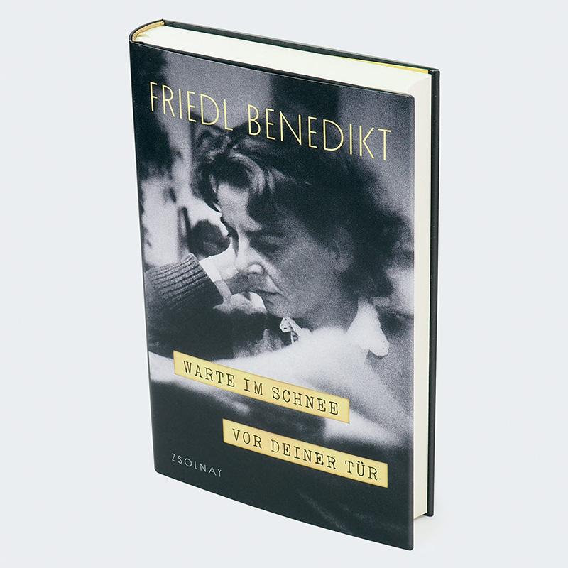 Bild: 9783552075290 | Warte im Schnee vor Deiner Tür | Friedl Benedikt | Buch | 336 S.