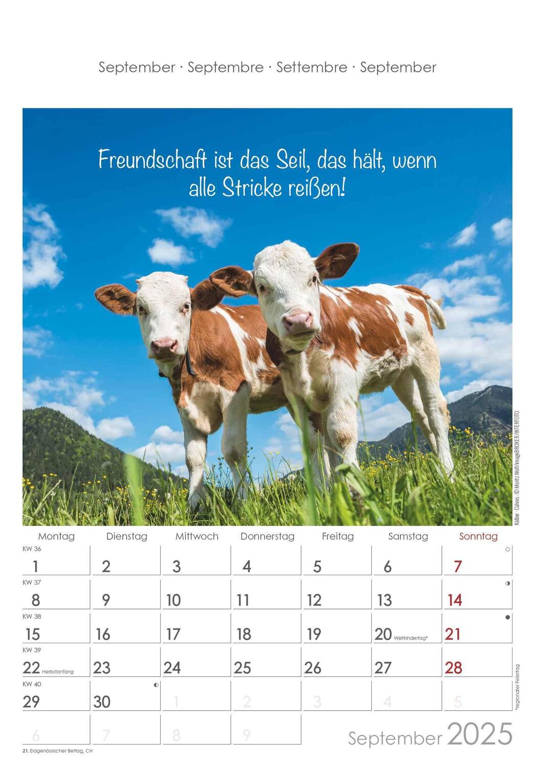 Bild: 4251732341039 | Kleine Freunde 2025 - Bildkalender 23,7x34 cm - Kalender mit Platz...