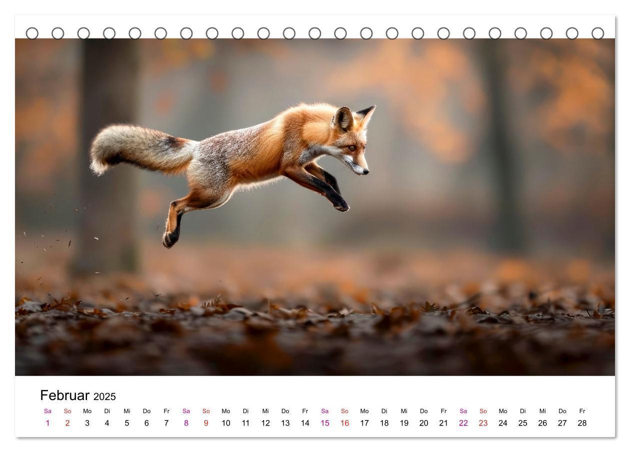 Bild: 9783383815324 | Fuchs - schöne Momente (Tischkalender 2025 DIN A5 quer), CALVENDO...