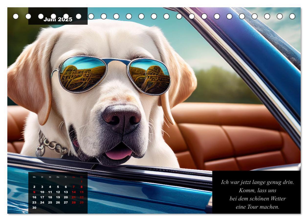 Bild: 9783435369027 | Der witzige Labrador-Kalender (Tischkalender 2025 DIN A5 quer),...