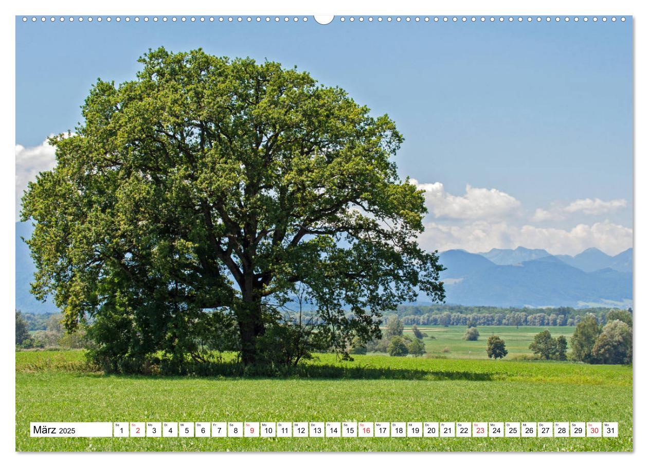 Bild: 9783435182176 | Chiemsee - Sommerferien am bayrischen Meer (Wandkalender 2025 DIN...