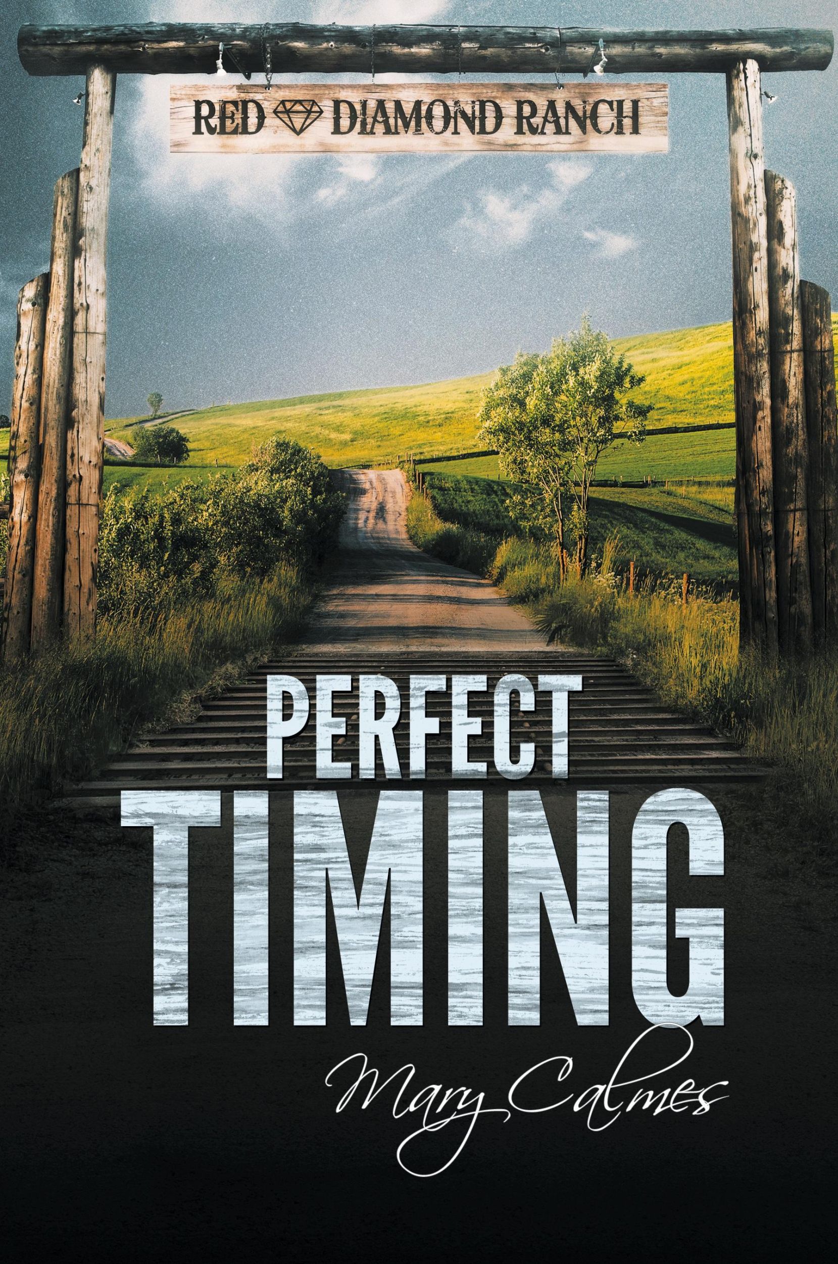 Cover: 9781634778442 | Perfect Timing | Mary Calmes | Taschenbuch | Englisch | 2016