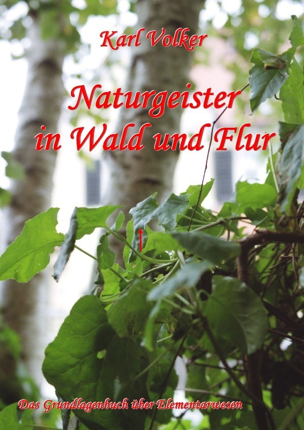 Cover: 9783844243864 | Naturgeister in Wald und Flur | Das Grundlagenbuch über Elementarwesen