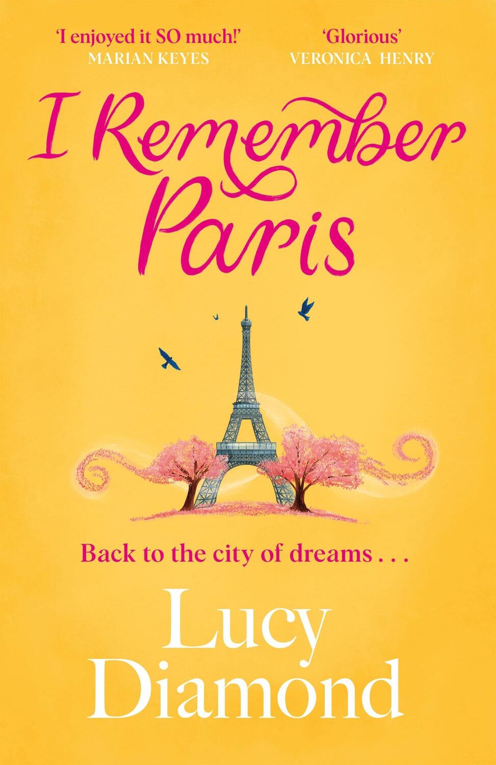 Cover: 9781529432954 | I Remember Paris | Lucy Diamond | Taschenbuch | Englisch | 2024