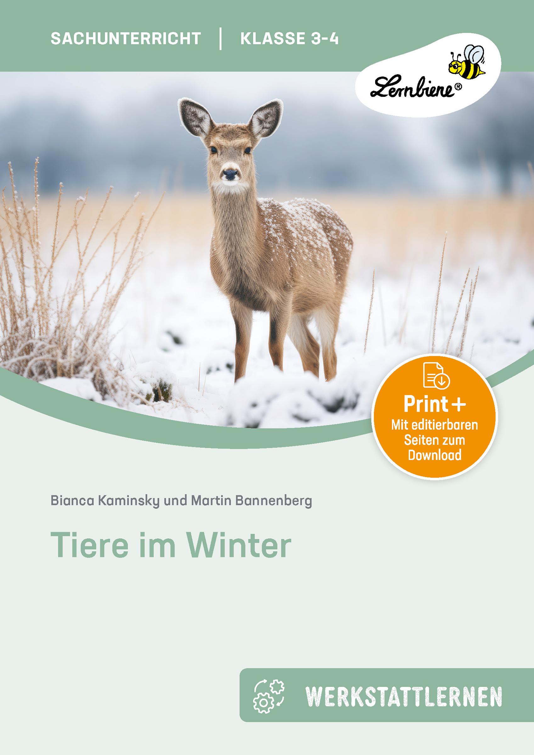 Cover: 9783869988641 | Tiere im Winter | (3. und 4. Klasse) | B. Kaminsky (u. a.) | Bundle