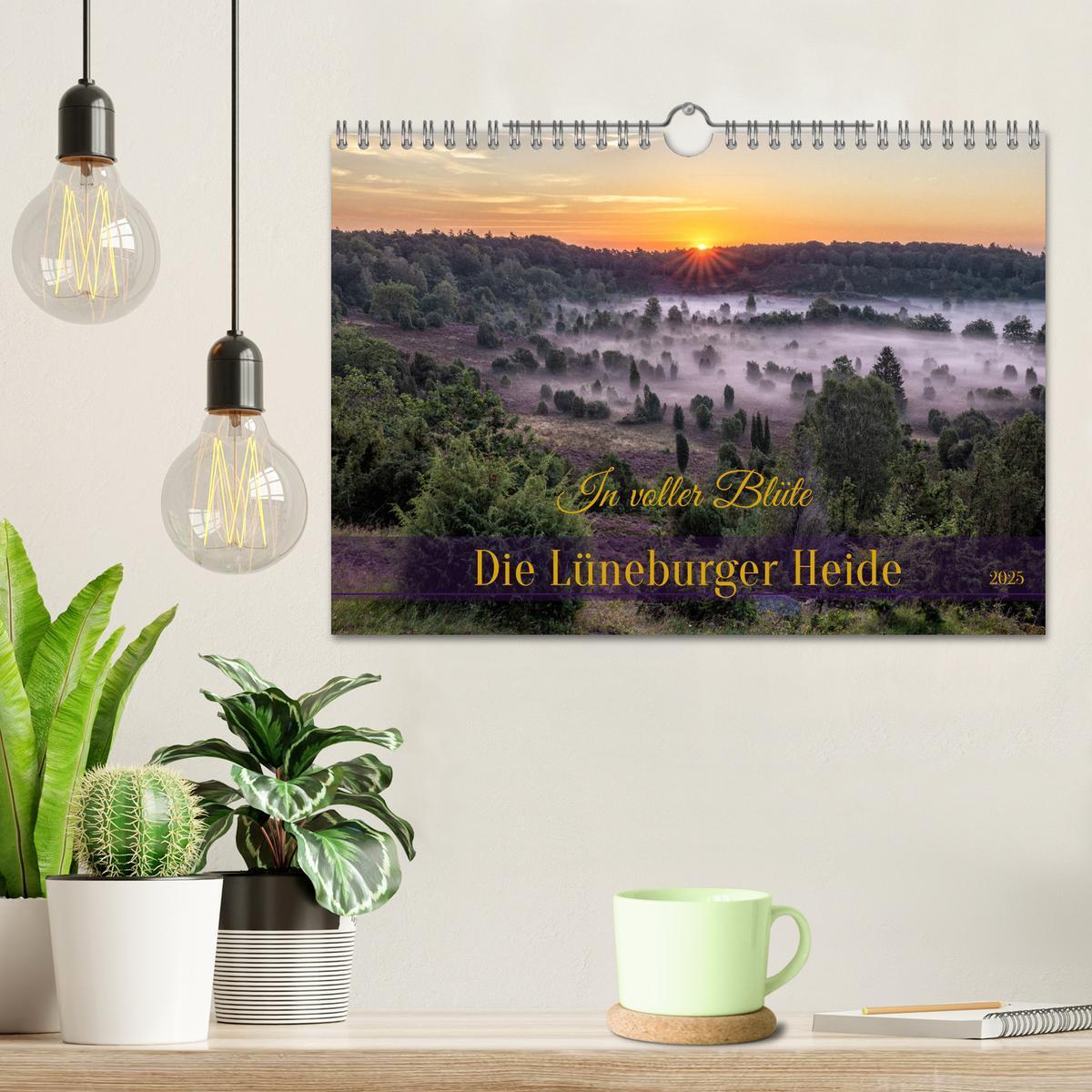 Bild: 9783383841361 | Die Lüneburger Heide - In voller Blüte (Wandkalender 2025 DIN A4...