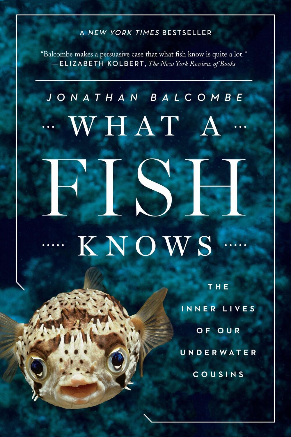 Cover: 9780374537098 | What a Fish Knows | The Inner Lives of Our Underwater Cousins | Buch