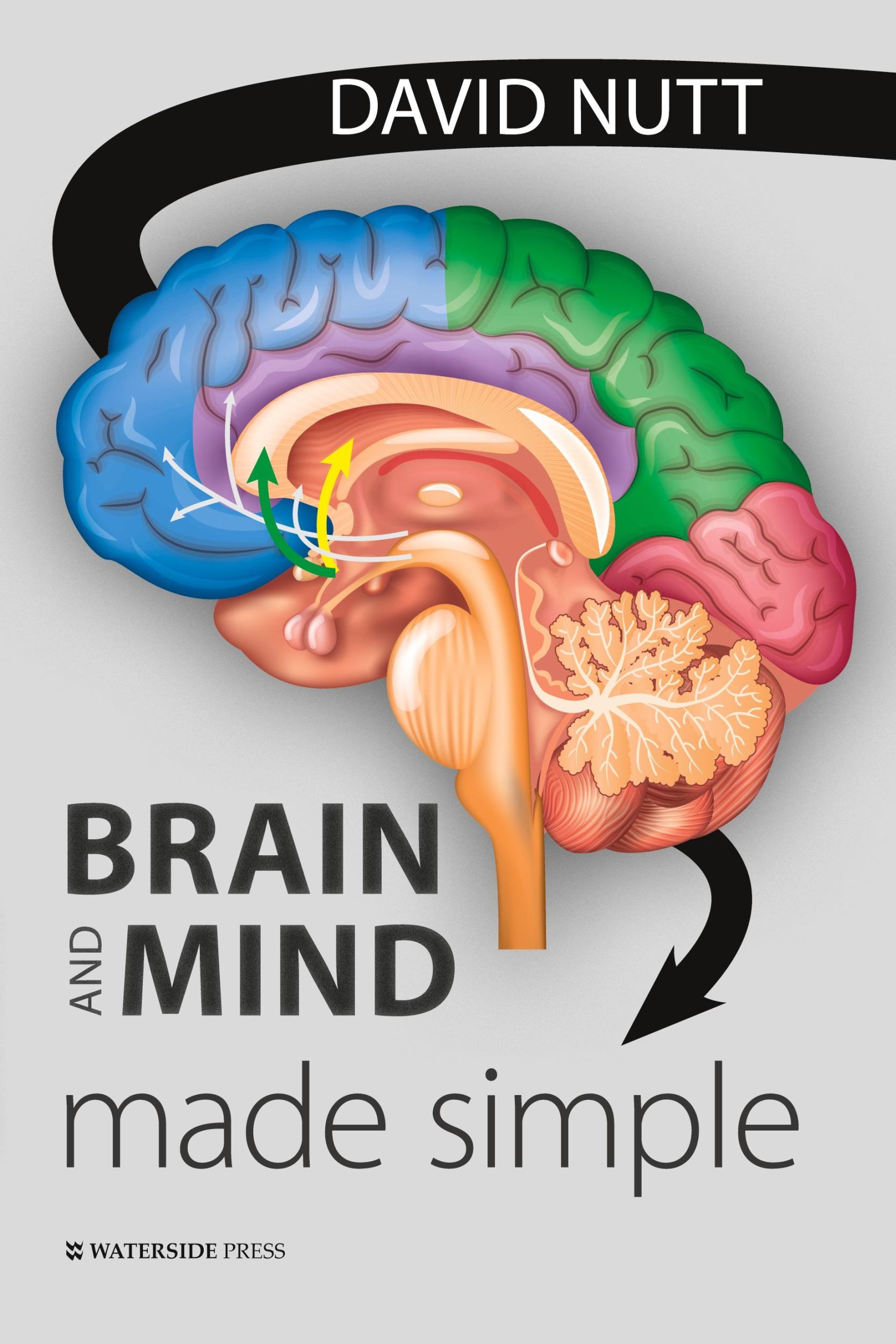 Cover: 9781914603006 | Brain and Mind Made Simple | David Nutt | Taschenbuch | Englisch