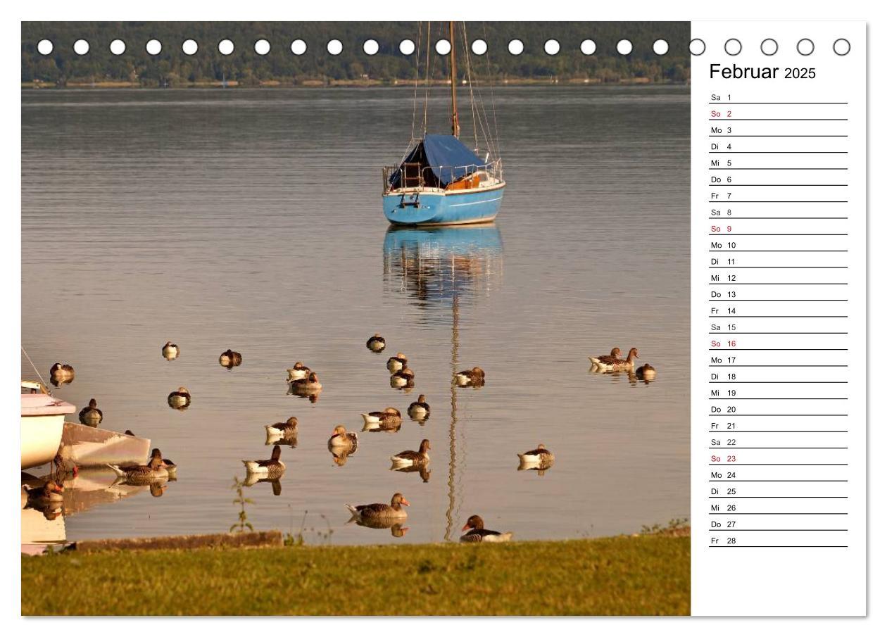 Bild: 9783435513918 | Seestärke - Der Ammersee (Tischkalender 2025 DIN A5 quer), CALVENDO...