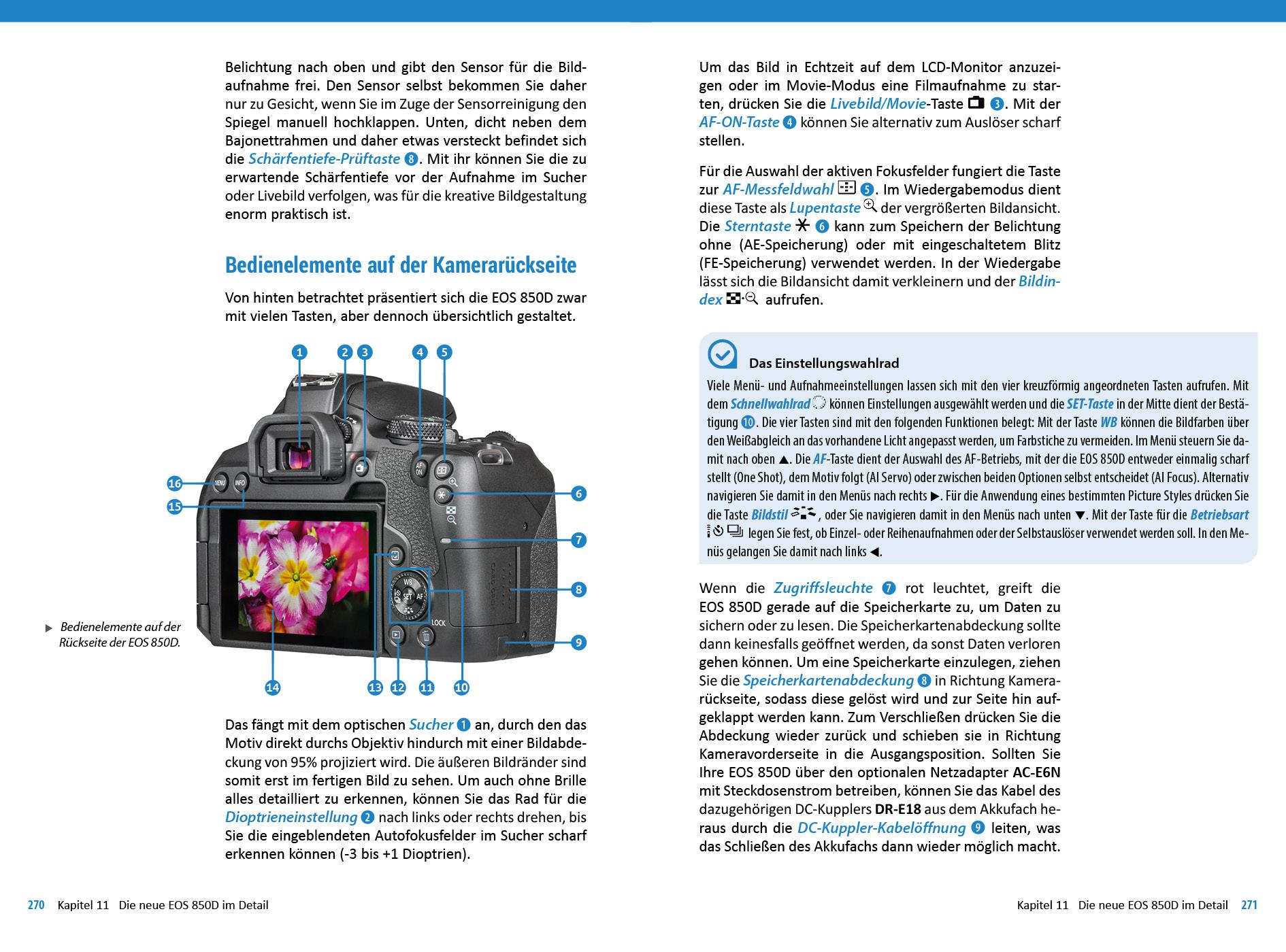 Bild: 9783832804411 | Canon EOS 850D / 800D | Das umfangreiche Praxisbuch zu Ihrer Kamera!