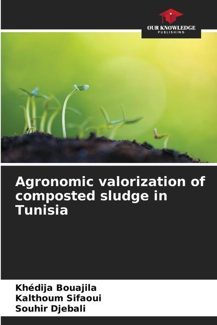 Cover: 9786205932537 | Agronomic valorization of composted sludge in Tunisia | Taschenbuch