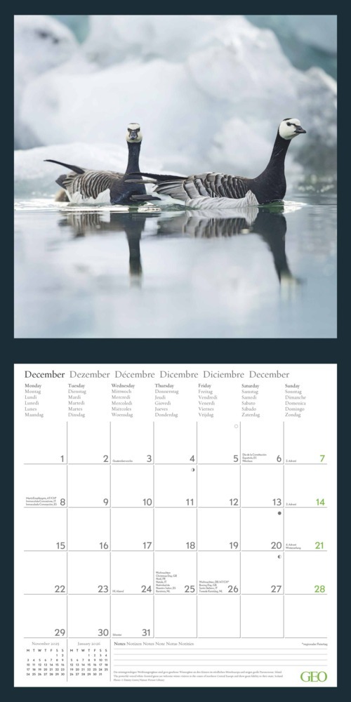 Bild: 4002725988621 | GEO - Amazing Nature 2025 Wandkalender 30x30 cm - Fotokalender für...