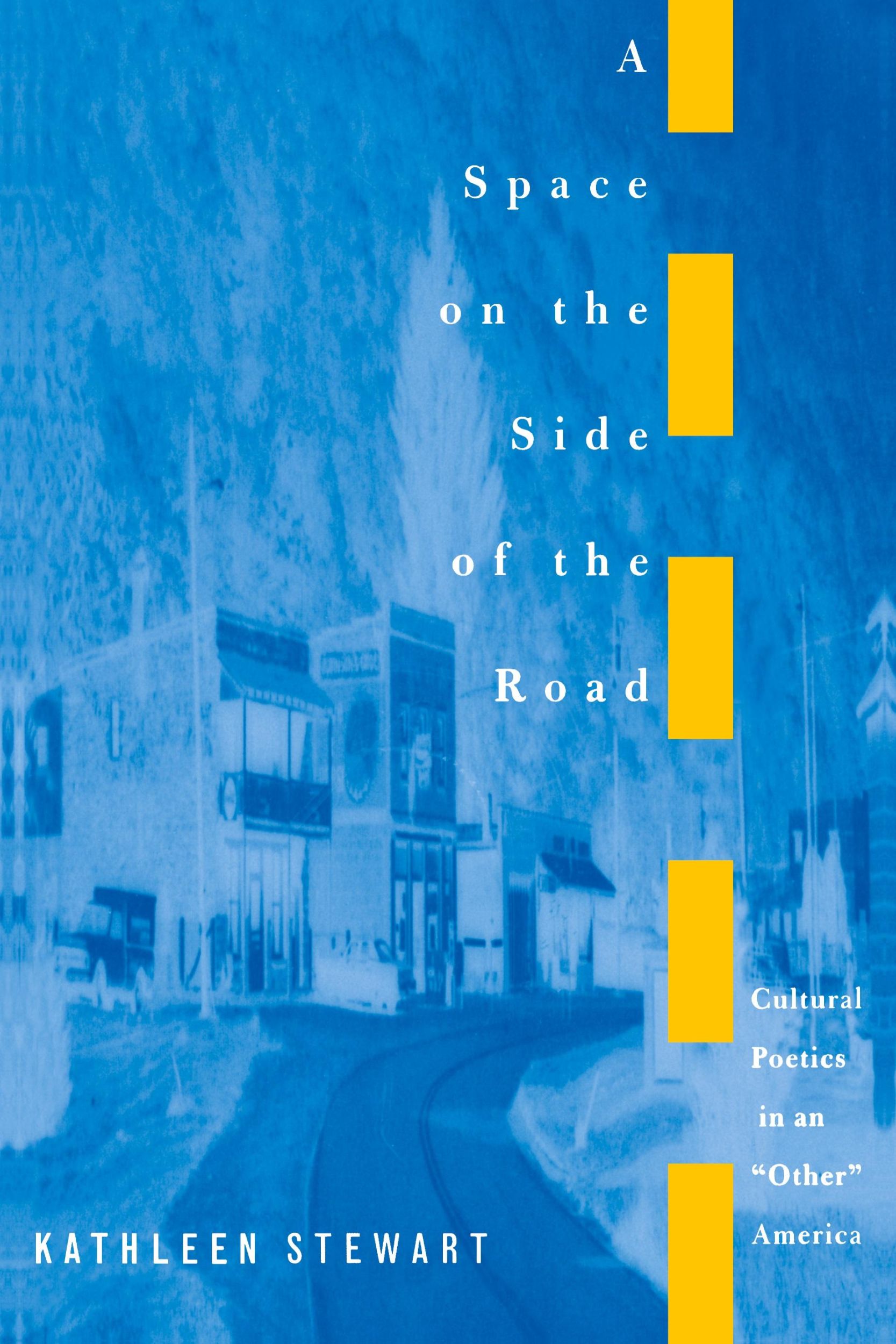 Cover: 9780691011035 | A Space on the Side of the Road | Kathleen Stewart | Taschenbuch