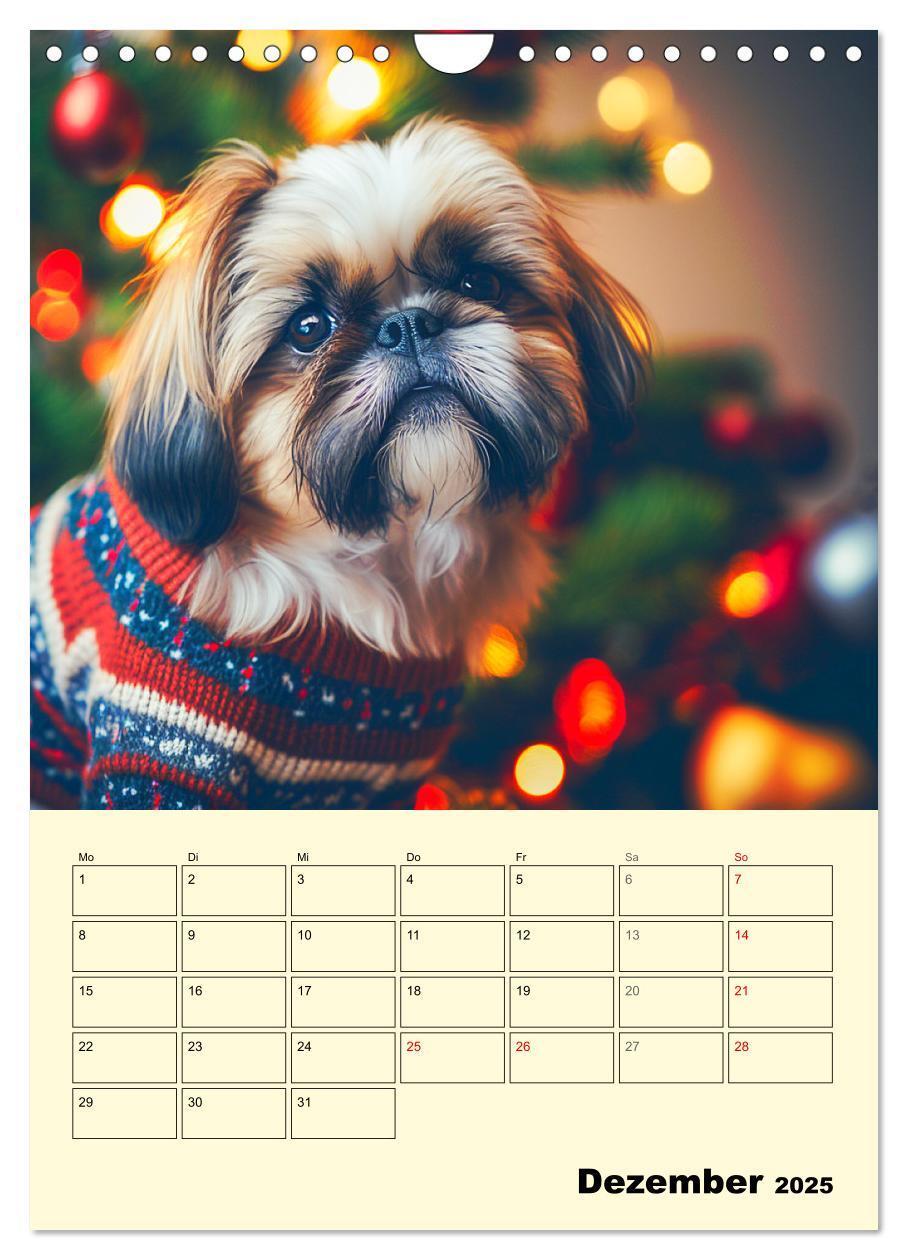 Bild: 9783435869749 | Shih Tzu Alarm. Glückliche Wuschelköpfe (Wandkalender 2025 DIN A4...