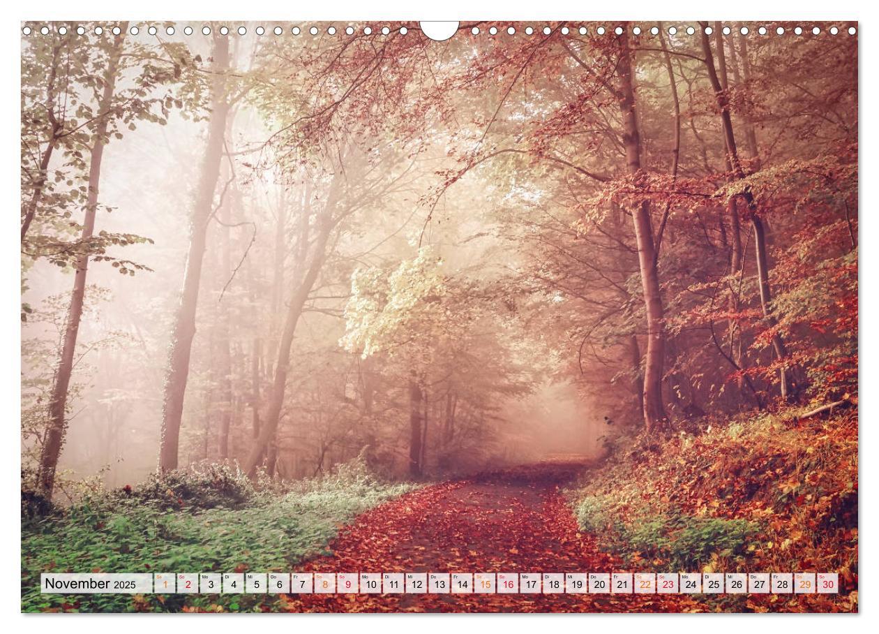 Bild: 9783435071623 | Wald - mystische Spaziergänge (Wandkalender 2025 DIN A3 quer),...