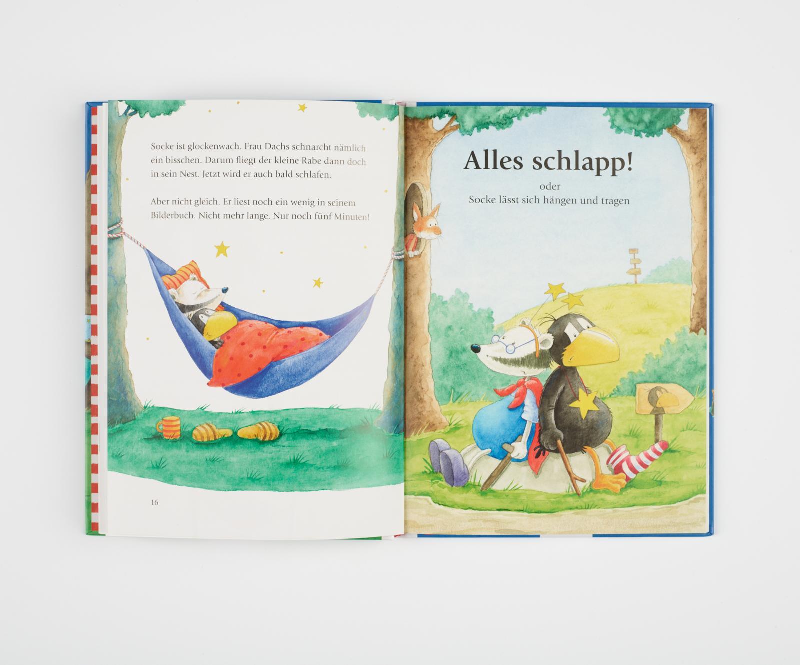 Bild: 9783480235797 | Der kleine Rabe Socke: Alles schläft? | Nele Moost | Buch | 64 S.