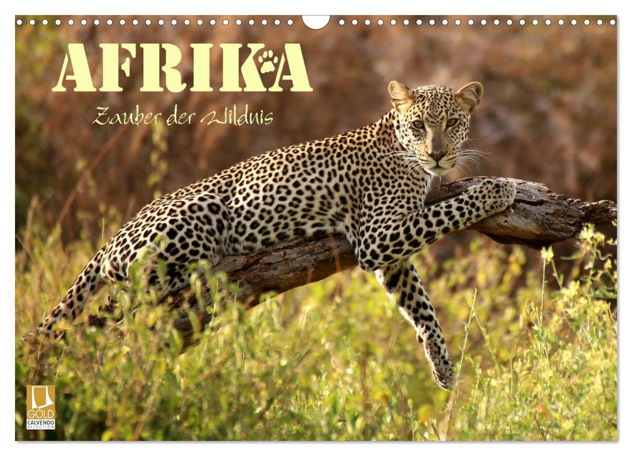 Cover: 9783435250714 | Afrika - Zauber der Wildnis (Wandkalender 2025 DIN A3 quer),...