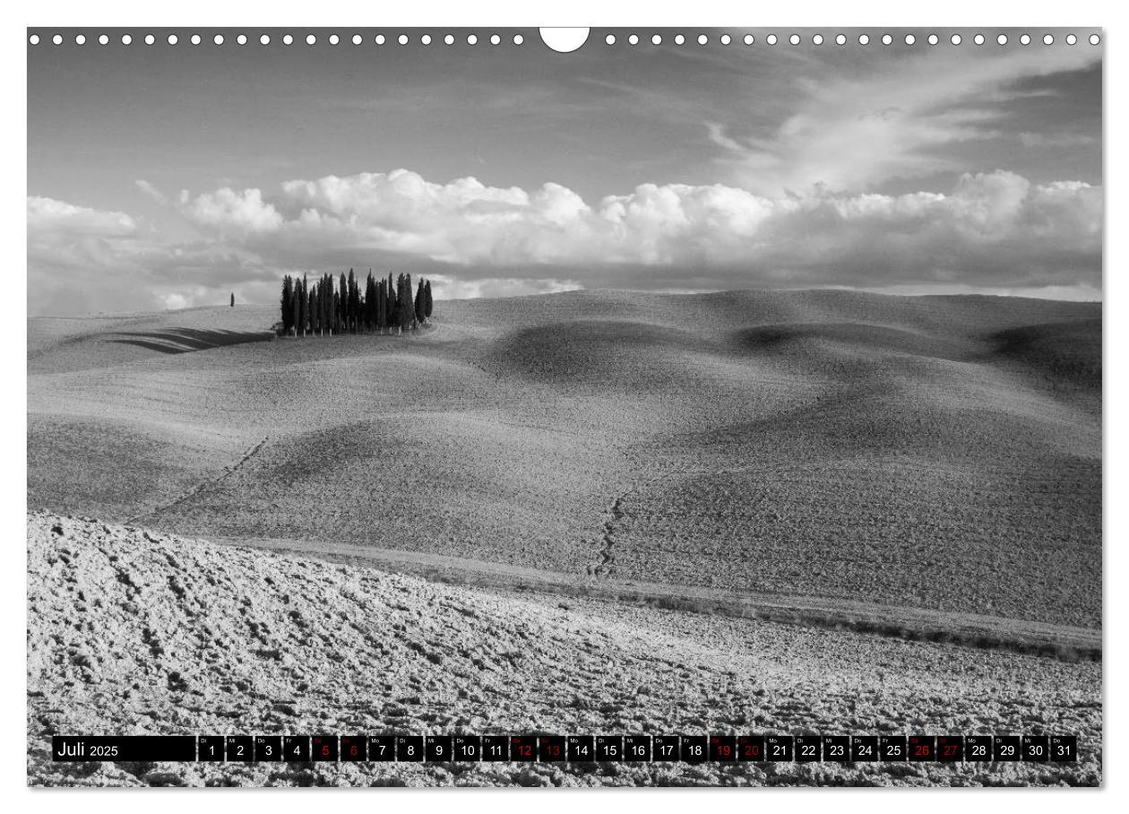 Bild: 9783435393763 | Toscana - monocromatico (Wandkalender 2025 DIN A3 quer), CALVENDO...