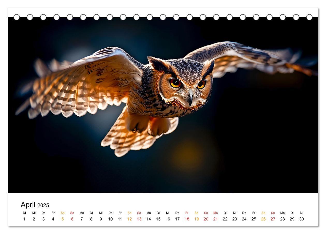 Bild: 9783457212998 | Wilde Tierwelt im Wald (Tischkalender 2025 DIN A5 quer), CALVENDO...