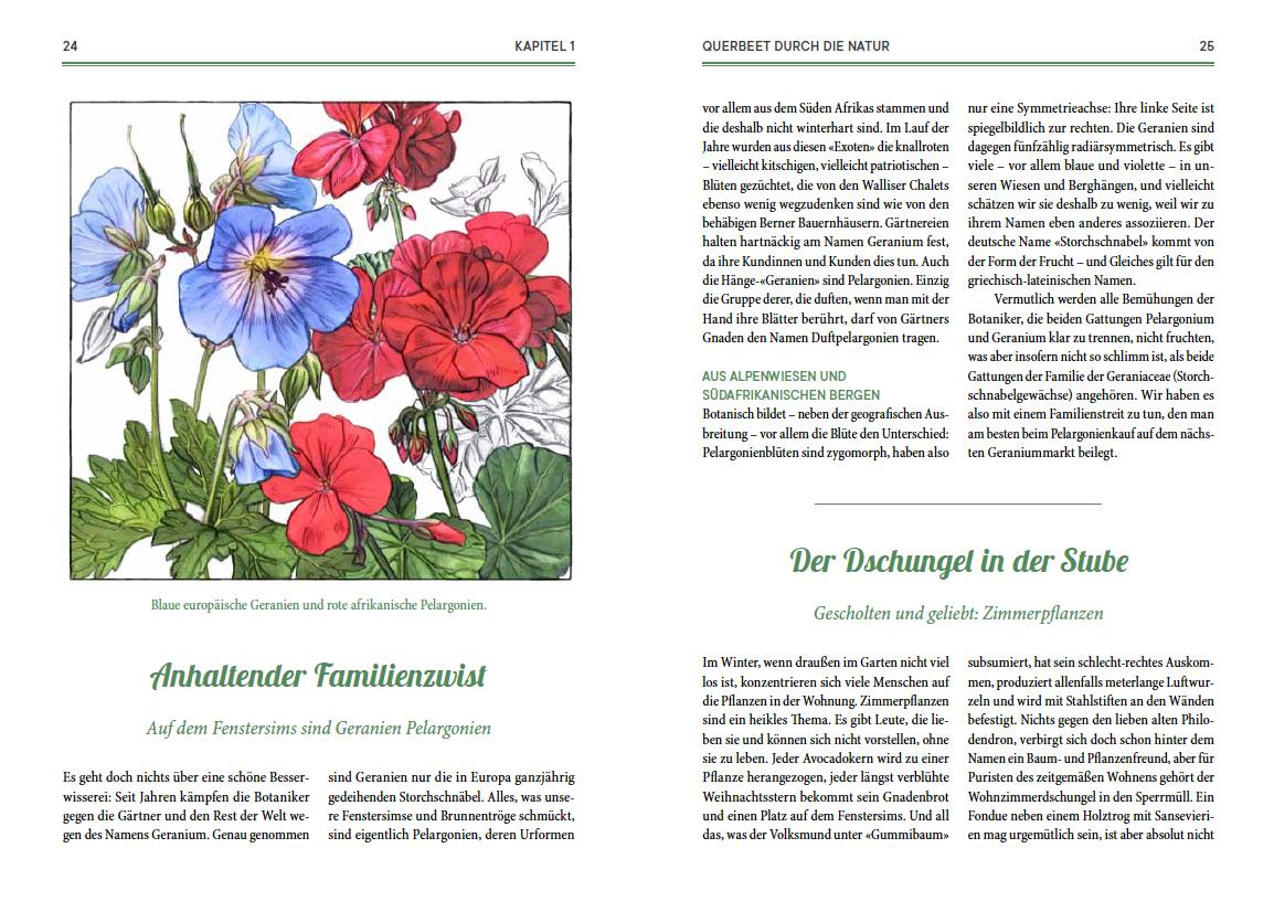 Bild: 9783945543733 | Von fiesen Schädlingen, duftenden Kräutern und üppigen Blumen | Buch