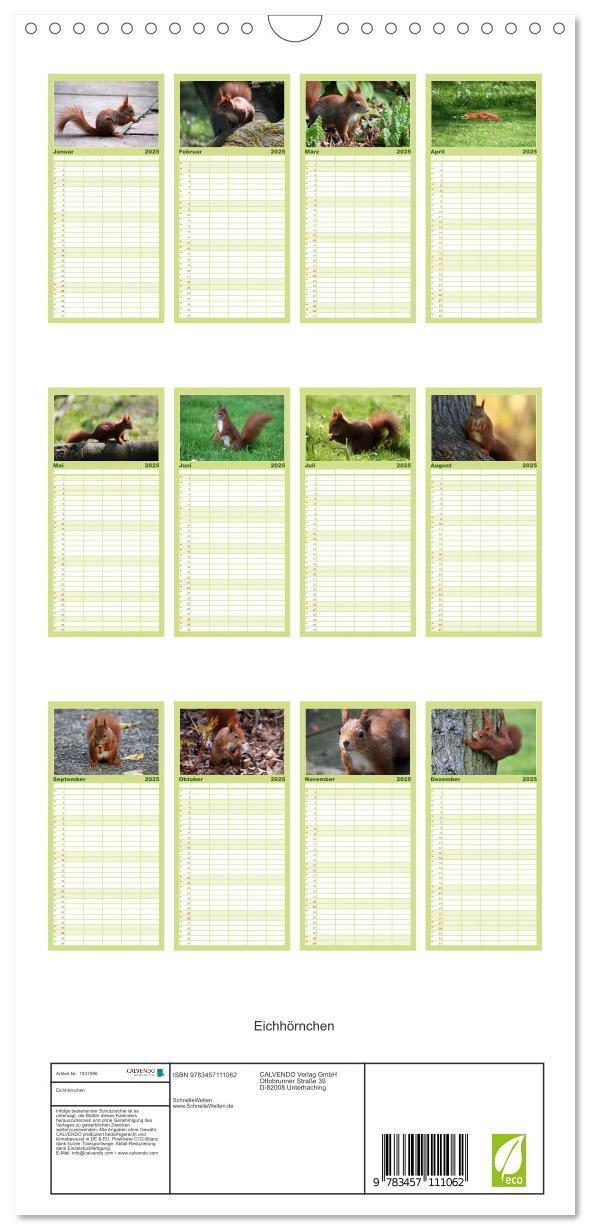 Bild: 9783457111062 | Familienplaner 2025 - Eichhörnchen mit 5 Spalten (Wandkalender, 21...