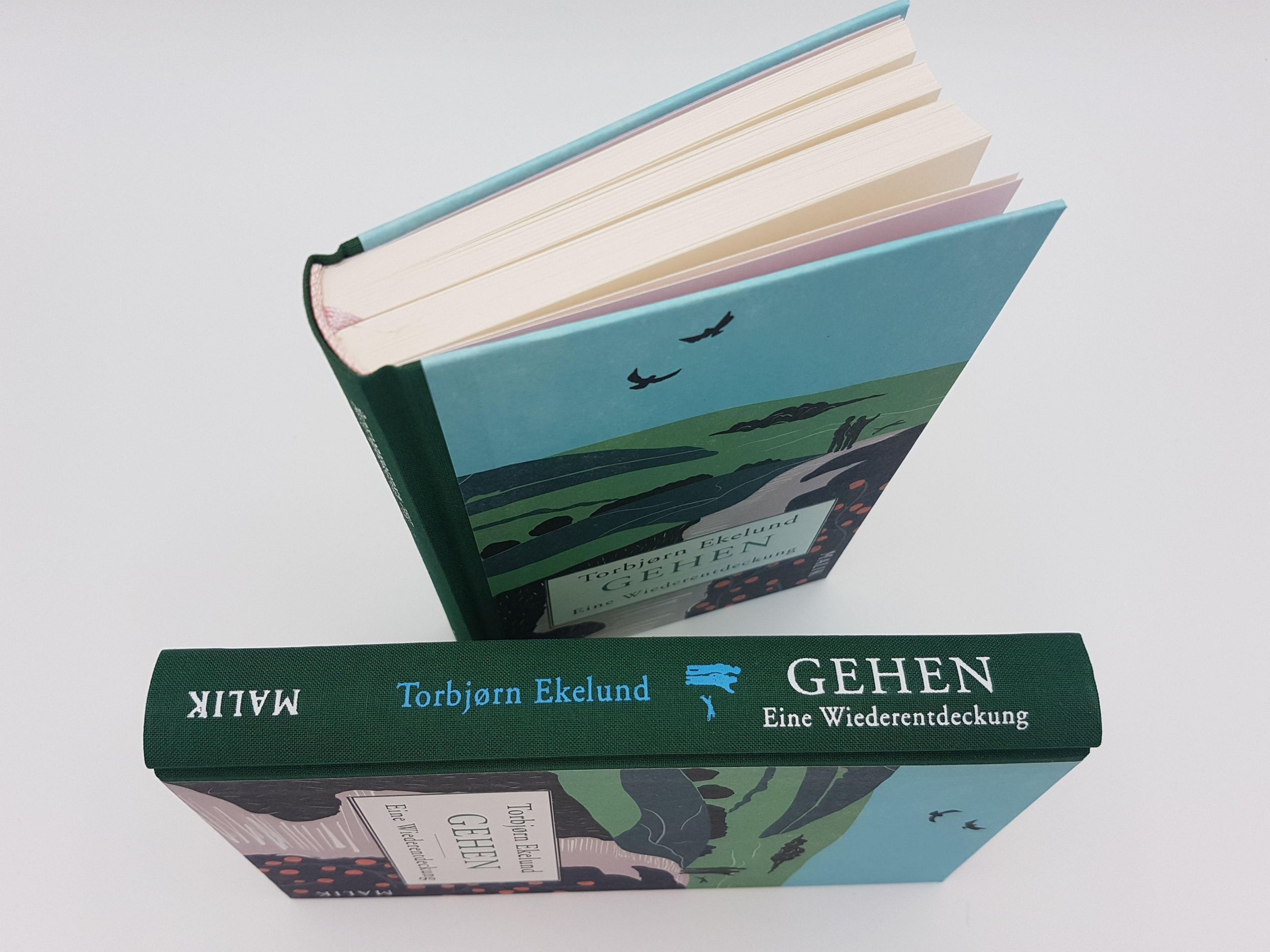 Bild: 9783890295282 | Gehen | Torbjørn Ekelund | Buch | Lesebändchen | 208 S. | Deutsch