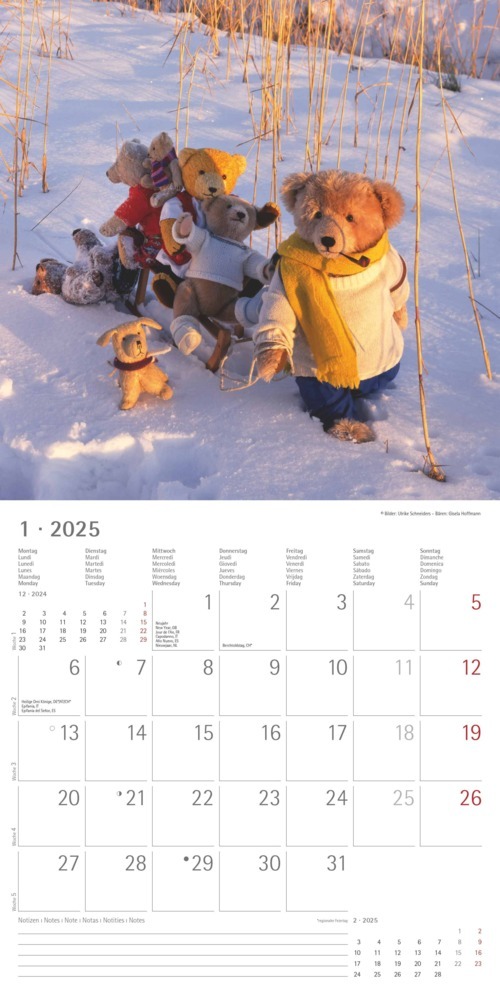 Bild: 4251732340643 | Alpha Edition - Teddy 2025 Broschürenkalender, 30x30cm,...