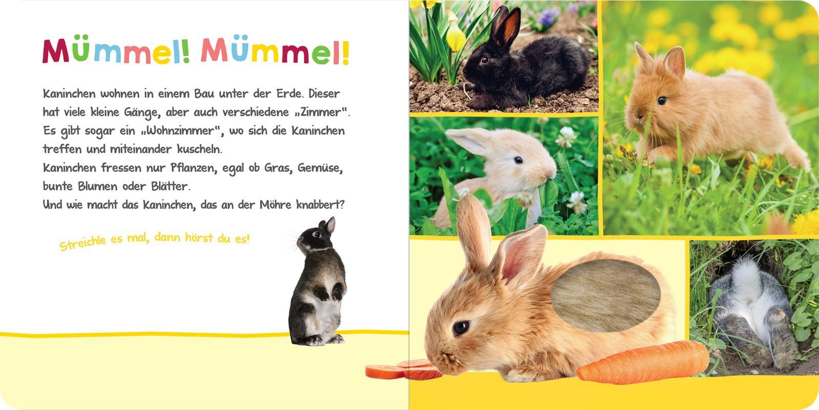 Bild: 9783845842905 | Hör mal rein, wer kann das sein? - Im Frühling | Buch | 12 S. | 2021