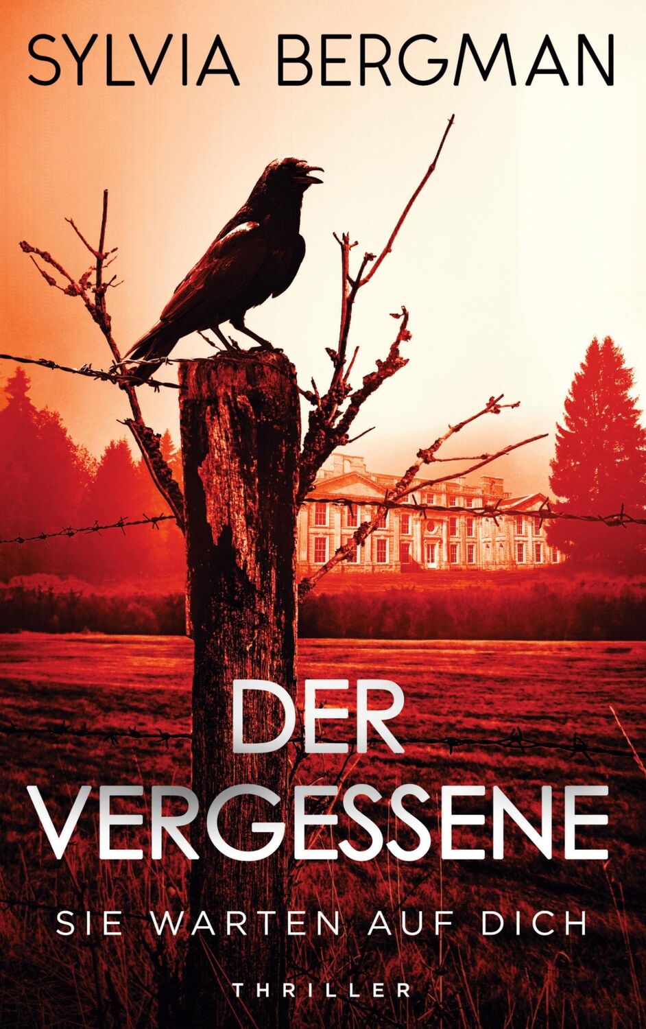 Cover: 9783759797087 | Der Vergessene | Sie warten auf dich | Sylvia Bergman | Taschenbuch