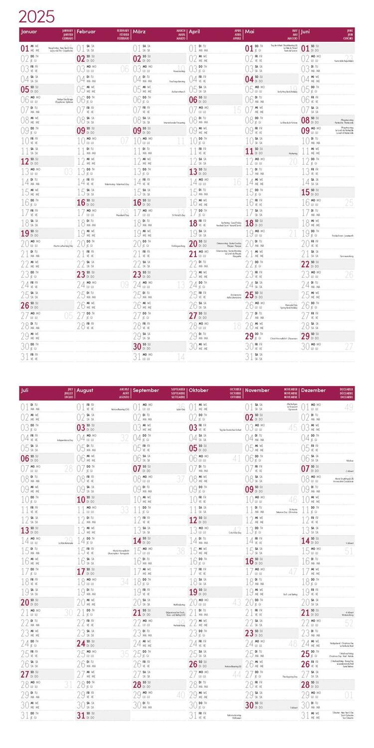 Bild: 9783838445199 | Verrückte Hühner Kalender 2025 - 30x30 | Ackermann Kunstverlag | 28 S.